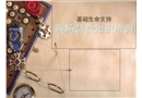 現場急救知識培訓課件