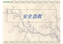 安全家——安全急救