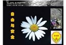 自由與安全
