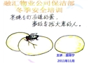 冬季安全教育培訓
