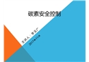 碳素風險控制