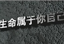 交通安全教育《生命屬于你自己》