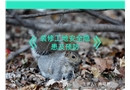 裝修工地安全隱患及預防