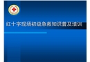紅十字現(xiàn)場初級急救知識普及培訓(xùn)