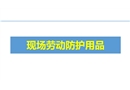 現場勞動防護用品的使用和管理