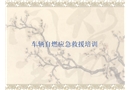 車輛自燃應(yīng)急救援培訓(xùn)