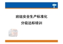 班組安全生產(chǎn)標(biāo)準(zhǔn)化分級(jí)達(dá)標(biāo)培訓(xùn)
