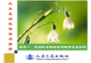 發(fā)動機(jī)總體構(gòu)造與維修安全知識