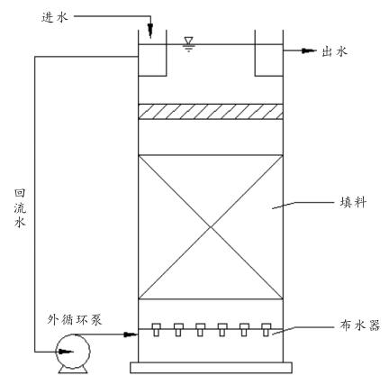 QQ截圖20190805101944.jpg