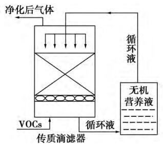 QQ截圖20190318095409.jpg