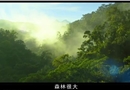 3·19森林防火公益廣告