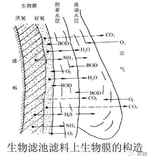 QQ截圖20181226090257.jpg