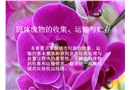 固體廢物的收集、運輸與貯存