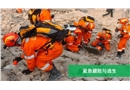 火災緊急避險與逃生