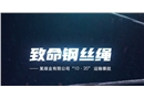 致命鋼絲繩-某煤業有限公司10.20運輸事故