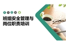 班組安全管理與崗位職責(zé)培訓(xùn)