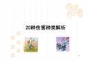 20種傷害種類解析
