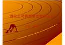 煤化公司典型事故案例分析