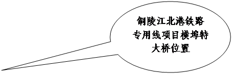 銅陵江北港鐵路專用線項目橫埠特大橋工地“8·1”事故調(diào)查報告