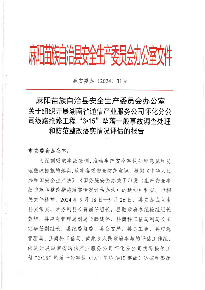 關(guān)于組織開展湖南省通信產(chǎn)業(yè)服務(wù)公司懷化分公司線路搶修工程“3·15”墜落一般事故調(diào)查處理和防范整改落實情況評估的報告