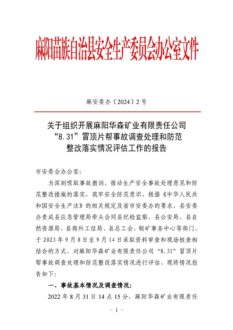 麻陽華森礦業(yè)有限責(zé)任公司“8.31”冒頂片幫事故調(diào)查評估報告