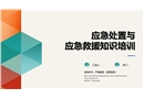 應(yīng)急處置與應(yīng)急救援知識培訓(xùn)