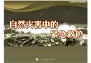 自然災(zāi)害中的緊急救護知識