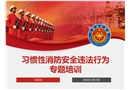 習慣性消防安全違法行為專題培訓