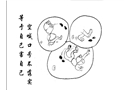 空喊口號不落實 等于自己害自己