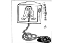 華而不實