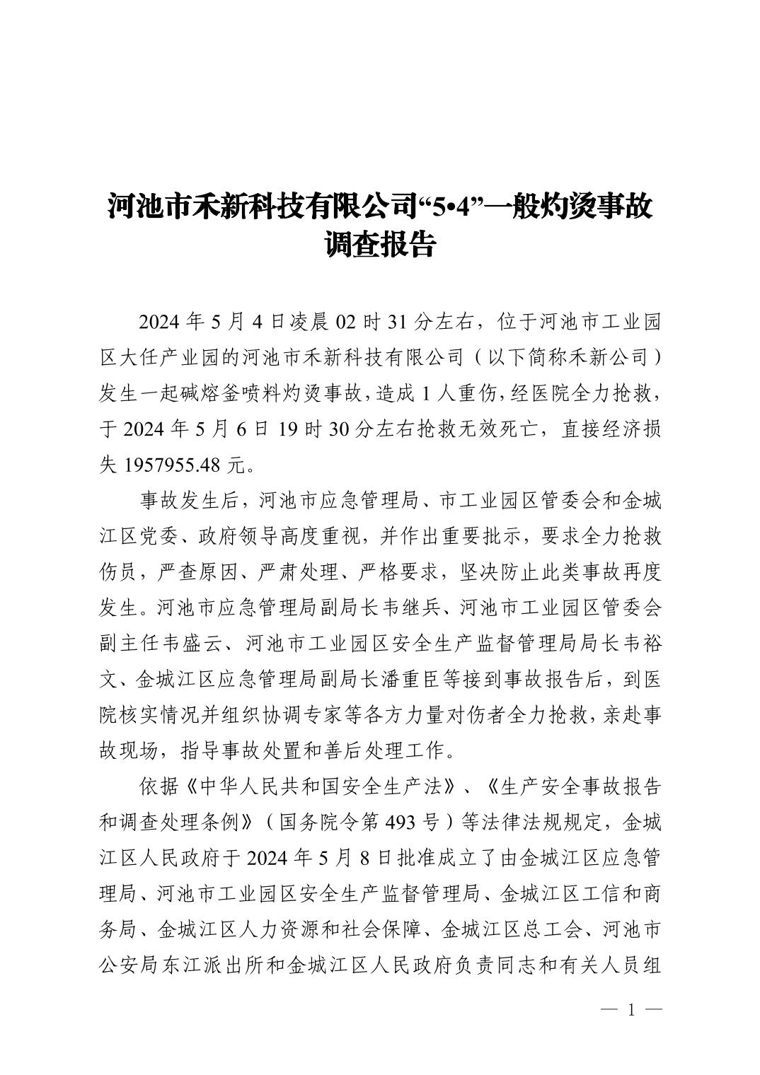 河池市禾新科技有限公司“5.4”一般灼燙事故調查報告