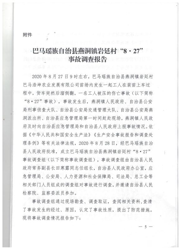 巴馬瑤族自治縣燕洞鎮巖廷村“8·27”事故調查報告