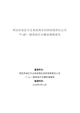 阿克蘇地區(qū)天全物資再生利用有限責任公司“7·19”一般物體打擊事故調查報告