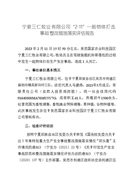 寧夏三仁牧業有限公司“2·11”一般物體打擊事故整改措施落實評估報告