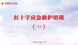 應(yīng)急救護培訓(xùn) 第一課 心肺復(fù)蘇