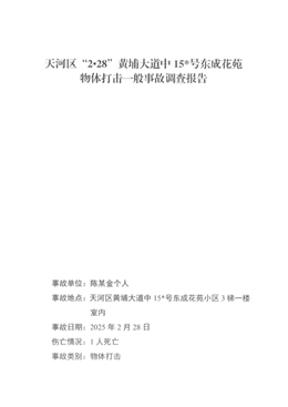 天河區(qū)“2·28”黃埔大道中153號(hào)東成花苑物體打擊一般事故調(diào)查報(bào)告