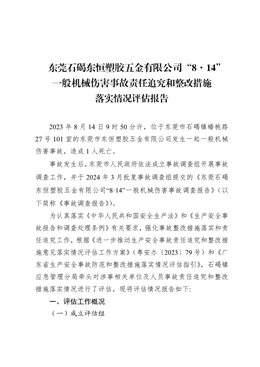 東莞石碣東恒塑膠五金有限公司“8·14”一般機械傷害事故責任追究和整改措施落實情況評估報告