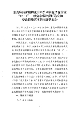 東莞麻涌深糧物流有限公司筒倉清倉作業(yè)“12·1”一般窒息事故責任追究和整改措施落去情況評估報告