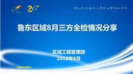 標桿房企第三方檢測評估檢查標準及問題展示
