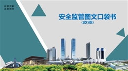 房建市政安全監(jiān)管圖文口袋書