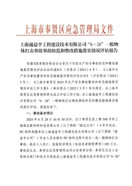 上海通益亨工程建設技術有限公司“6.28”一般物體打擊事故范和整改措施落實情況評估報告
