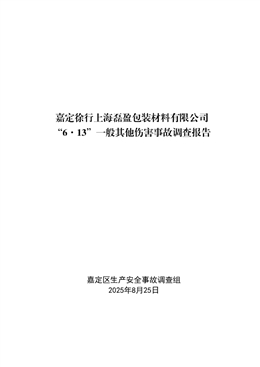 嘉定徐行上海磊盈包裝材料有限公司“6·13”一般其他傷害事故調查報告
