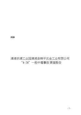 漳浦赤湖工業(yè)園漳浦縣錦平五金工業(yè)有限公司“4?28”一般中毒事故調(diào)查報(bào)告
