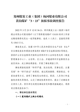 鄭州煤炭工業（集團）楊河煤業有限公司裴溝煤礦“3.23”頂板事故調查報告