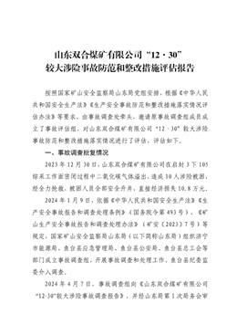 山東雙合煤礦有限公司“12·30”較大涉險事故評估報告