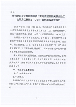 貴州林東礦業(yè)集團(tuán)有限責(zé)任公司百里杜鵑風(fēng)景名勝區(qū)金坡鄉(xiāng)紅林煤礦“2·18”其他事故調(diào)查報告