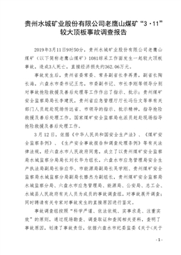 貴州水城礦業(yè)股份有限公司老鷹山煤礦“3·11”較大頂板事故調(diào)查報告