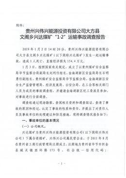 貴州興偉興能源投資有限公司大方縣文閣鄉(xiāng)興達(dá)煤礦“1·2”運(yùn)輸事故調(diào)查報告