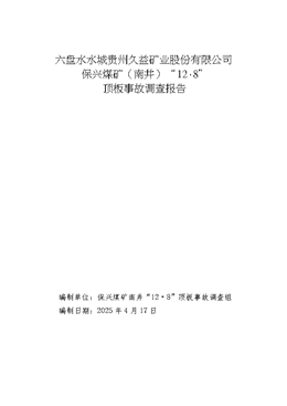 六盤水水城貴州久益礦業股份有限公司 保興煤礦（南井）“12?8”頂板事故調查報告
