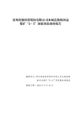 貴州貴能投資股份有限公司水城縣都格河邊煤礦“2·5”頂板事故調查報告